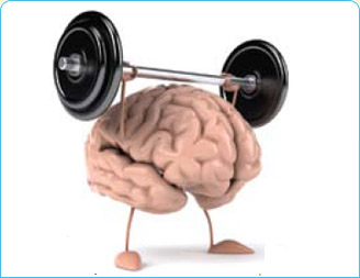 cerebro musculando