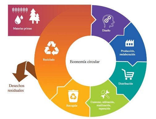 Economía Circular y sus modelos de negocio | OBS Business School