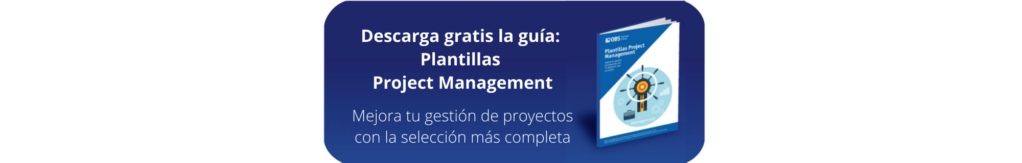 Ebook GRATIS: Plantillas Project Management