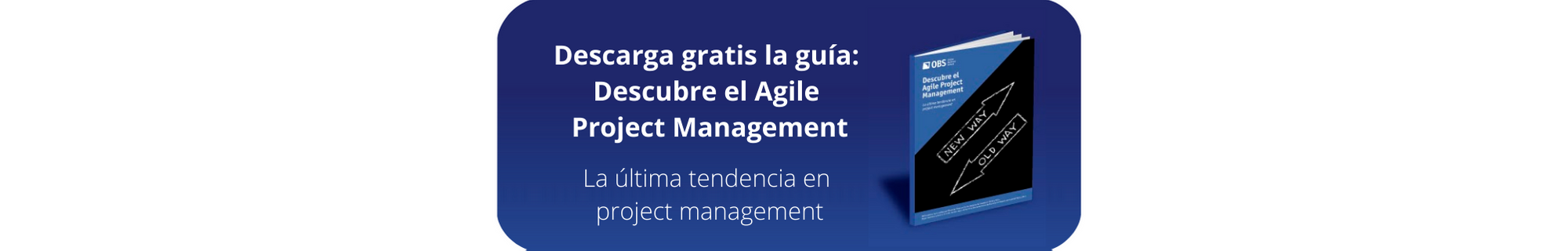 EBOOK GRATIS: Agile Project Management