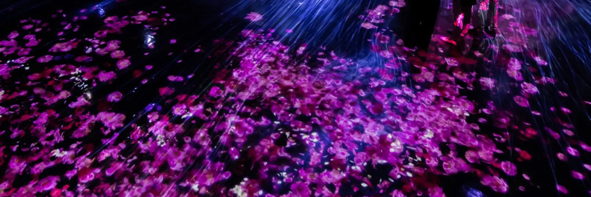 Informe OBS Turismo 2025 Hero