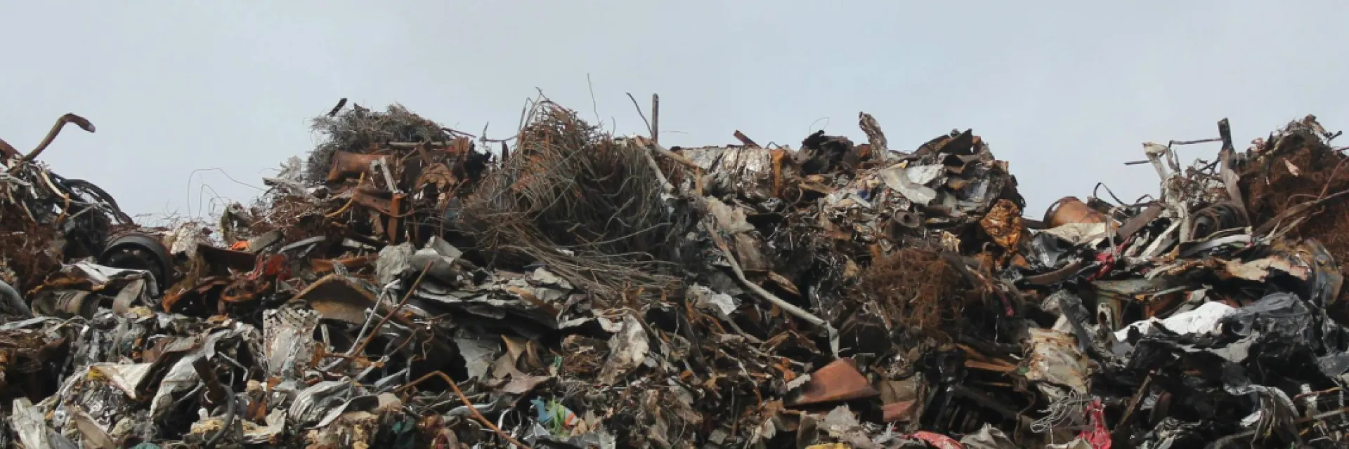 SICR, Becas OBS Impacto