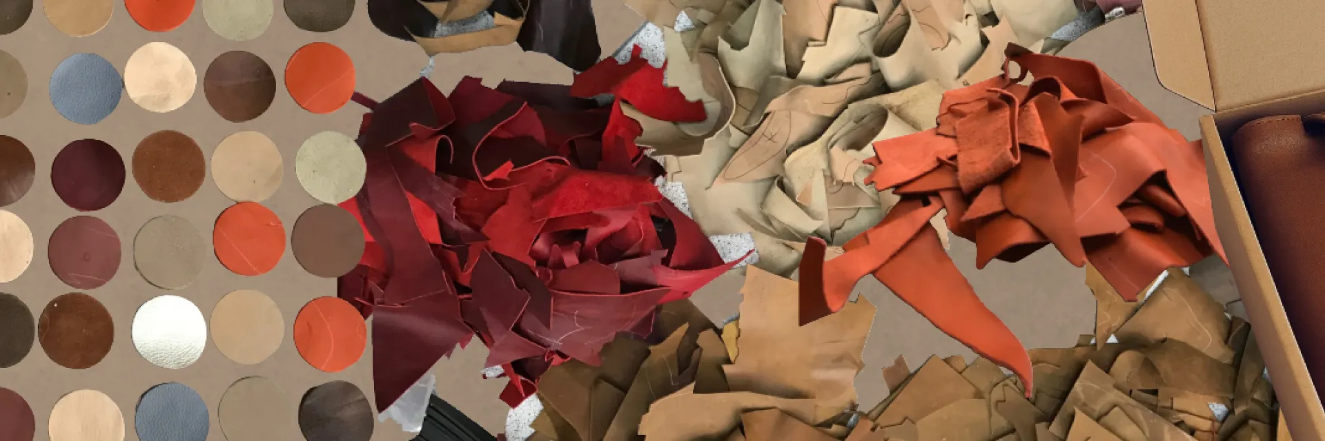 NAB, Becas OBS Impacto