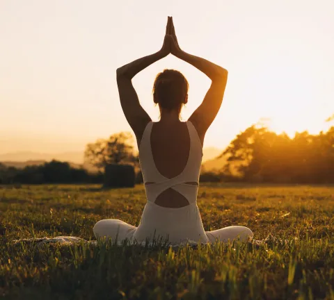 Hero Informe OBS Cultura Wellness 2025