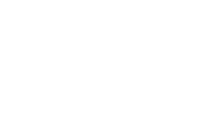 Logo shopify white ENG.