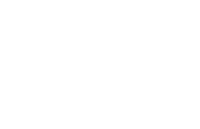 Logo FSO - OBS