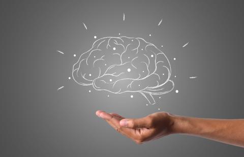 Articulo Neuroeducación