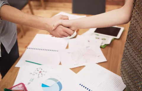 Articulo project-sponsor