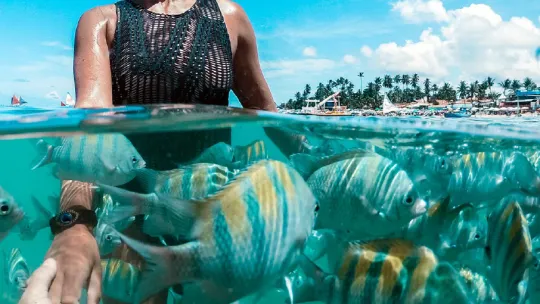 Turismo Colombia hero