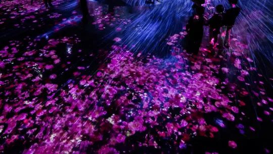 Informe OBS Turismo 2025 Hero