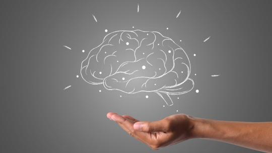 Articulo Neuroeducación