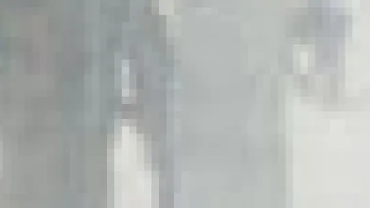 Project Mentoring MP