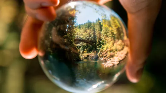 acción por el clima