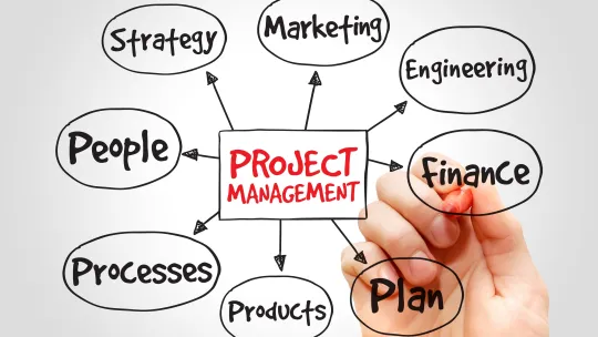 blog_obs_tendencias_e_innovacion_project_management_0.jpg