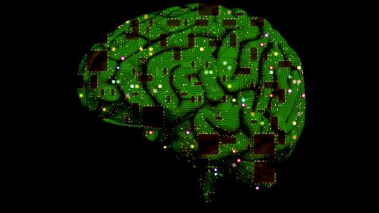 brain-1845944_1920.jpg