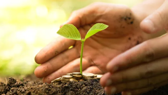 cinco-proyectos-ecologicos-que-han-marcado-la-diferencia.jpg