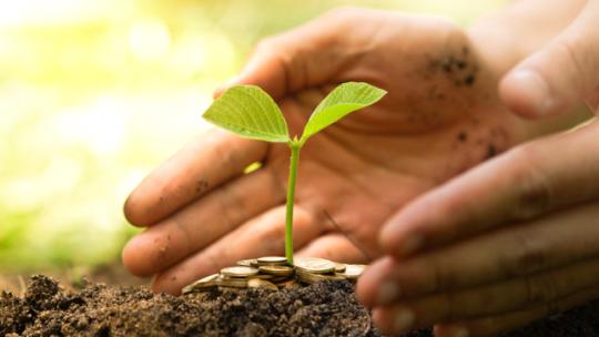 cinco-proyectos-ecologicos-que-han-marcado-la-diferencia.jpg