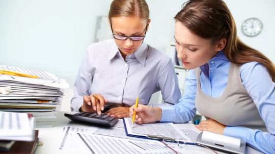 Articulo contabilidad