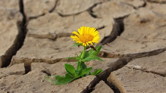 Cambio climático - 1