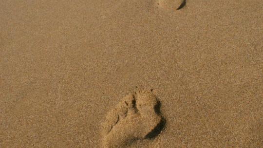 img_test_01.jpg