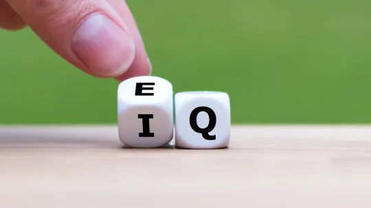 influencia inteligencia emocional en el ambito laboral