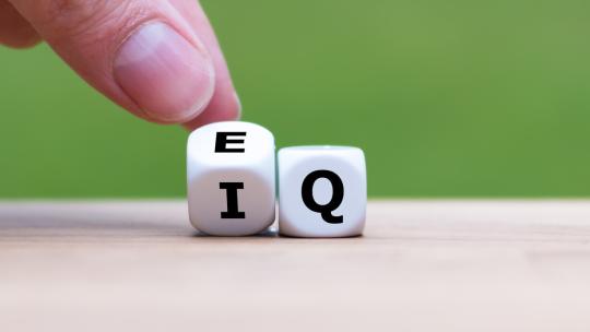 influencia inteligencia emocional en el ambito laboral