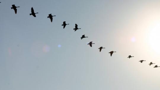 istock_000000791135_small_1453406587_13629.jpg