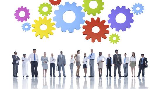 organizacion-empresarial_opt.jpg