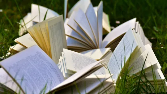 Cristina Sancha participa en la elaboración del capítulo de un libro relacionado con la sostenibilidad