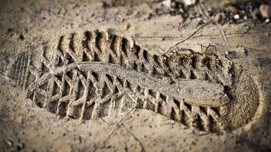 shoe-print-3482282_960_720.jpg