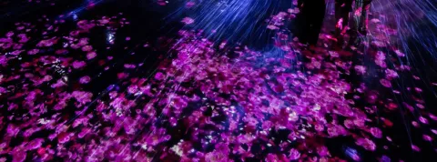 Informe OBS Turismo 2025 Hero