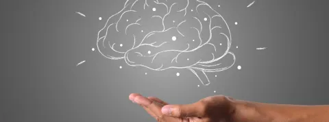 Articulo Neuroeducación