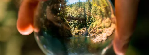 acción por el clima