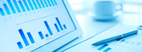 Artículo financial-analysis