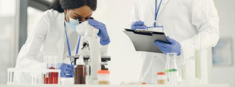 innovacion dr velasco