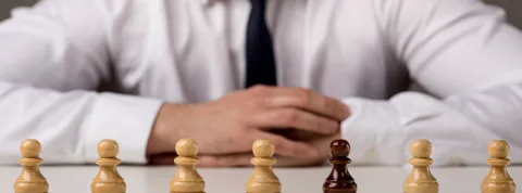 Articulo liderazgo-horizontal