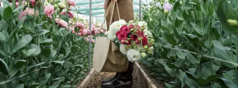 Informe de las flores OBS 2026