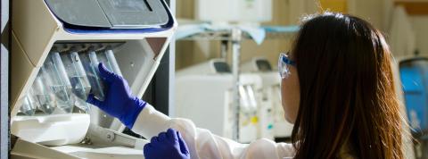 Descubre el Máster en Salud Pública y Epidemiología de OBS
