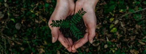 Sostenibilidad ODS 2030