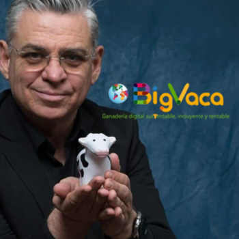 BigVaca