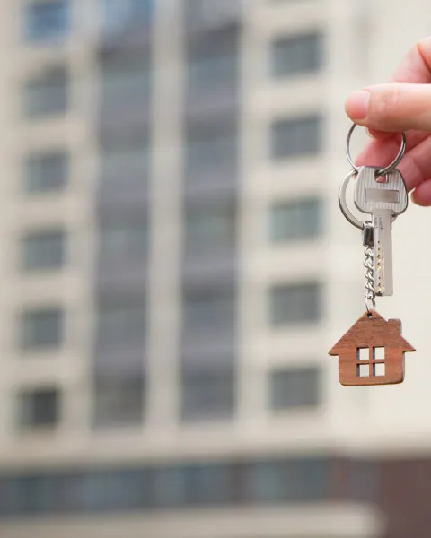 Informe OBS Sector Inmobiliario