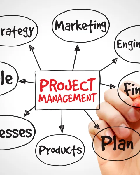 blog_obs_tendencias_e_innovacion_project_management_0.jpg