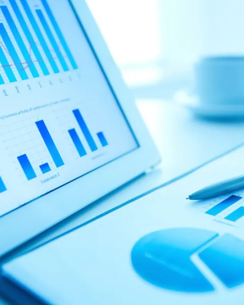 Artículo financial-analysis