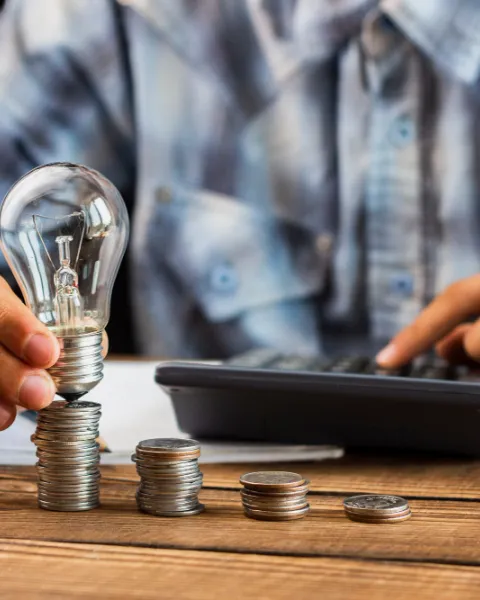 Articulo innovación-frugal