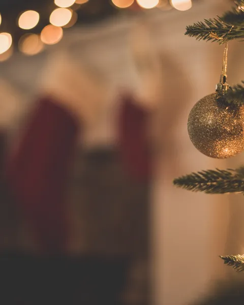 Hero informe consumo navideño 2023
