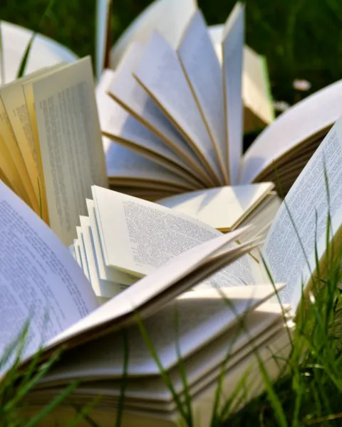 Cristina Sancha participa en la elaboración del capítulo de un libro relacionado con la sostenibilidad