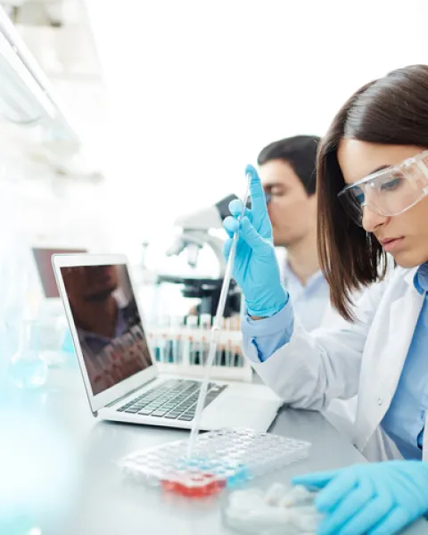 proyecto_de_investigacion.jpg