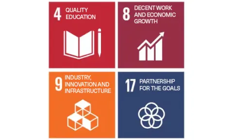 UN SDG Internship OBS