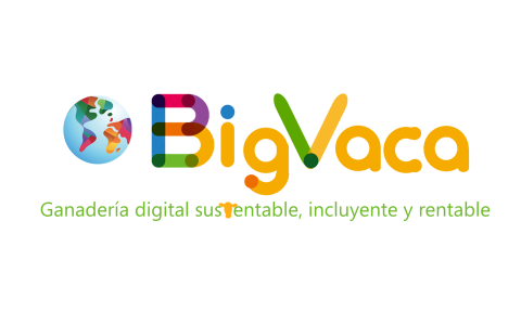 Conoce el proyecto Big Vaca, creado por un alumno de OBS
