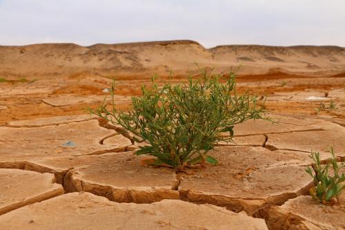 Cambio climático - 3